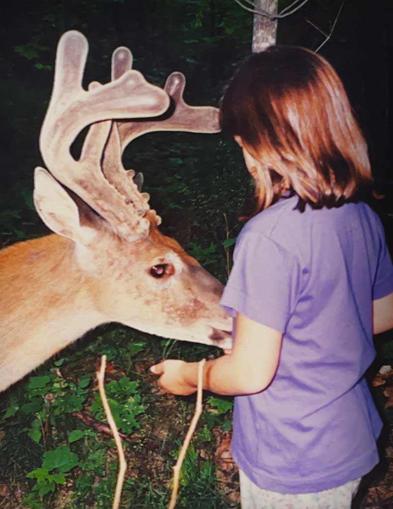 buck deer antlers human hangover mental health map inner work guide healing quantum emotional emotions therapy