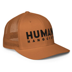 closed back trucker cap caramel right front 65046ee7191f9.jpg