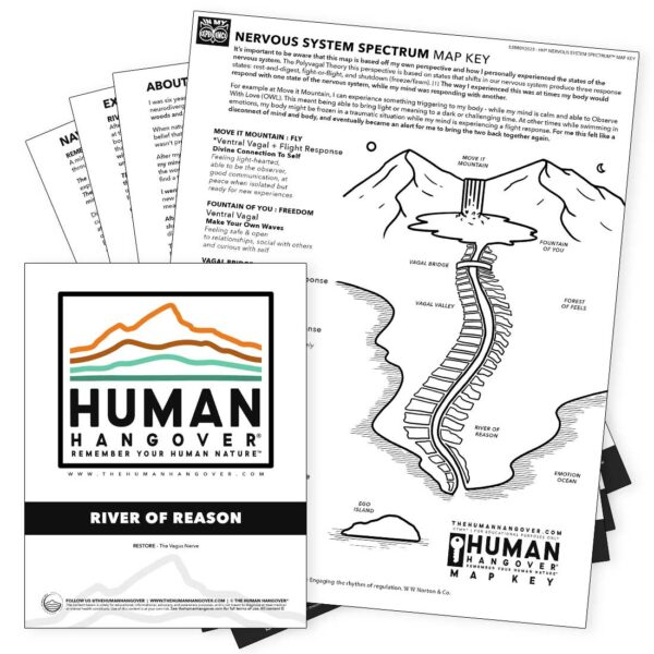 river of reason human hangover meantal health guide physical natural alternative energetic nervous system vagus vagal nerve somatic healing ptsd anxiety depression acupuncture acupressure