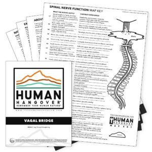 vagal bridge human hangover meantal health guide physical natural alternative energetic nervous system vagus vagal nerve somatic healing ptsd anxiety depression acupuncture acupressure